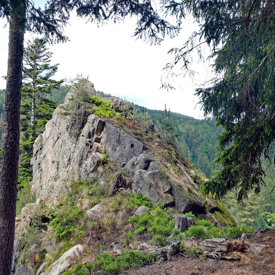 Bernecktal Tennenbronn 14