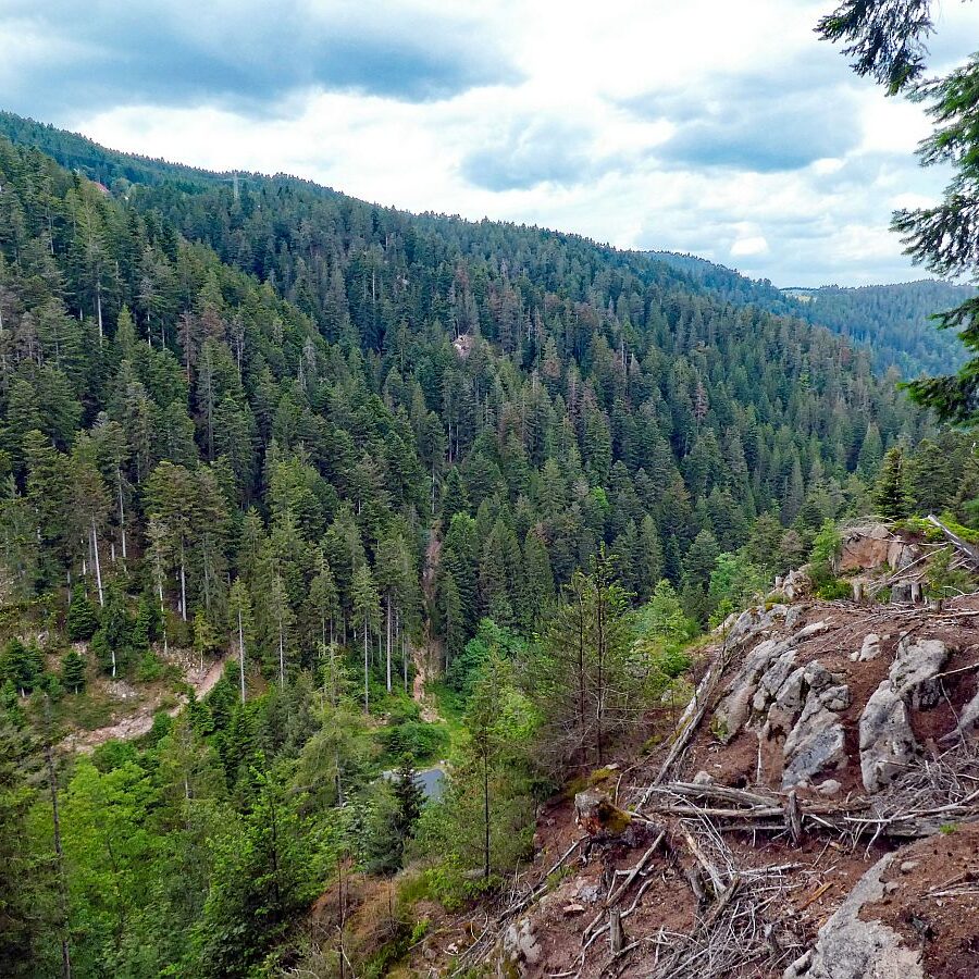 Bernecktal Tennenbronn 15