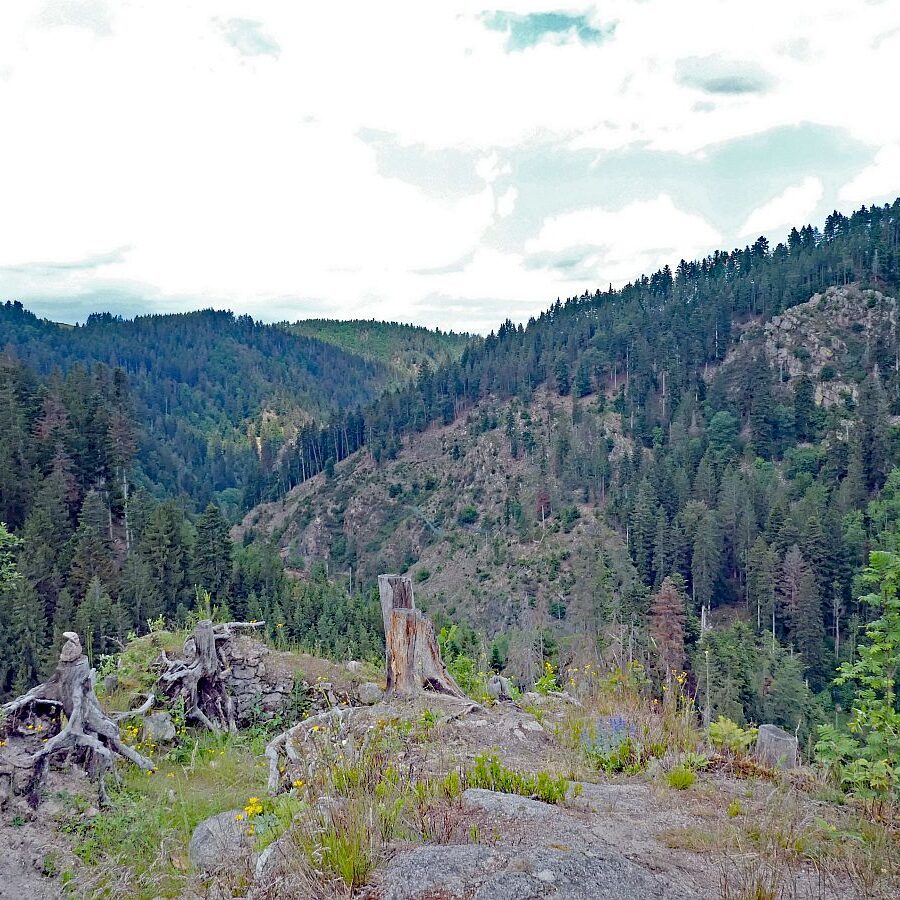 Bernecktal Tennenbronn 17