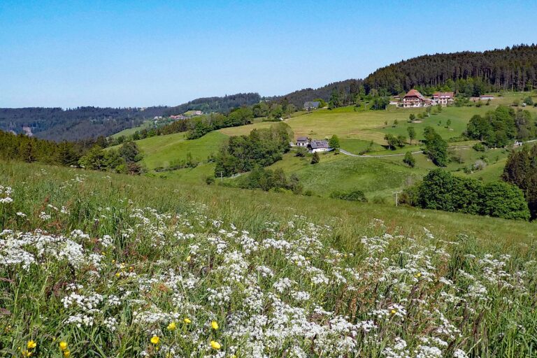 Mittelbergrunde Unterschiltach Tennenbronn 07