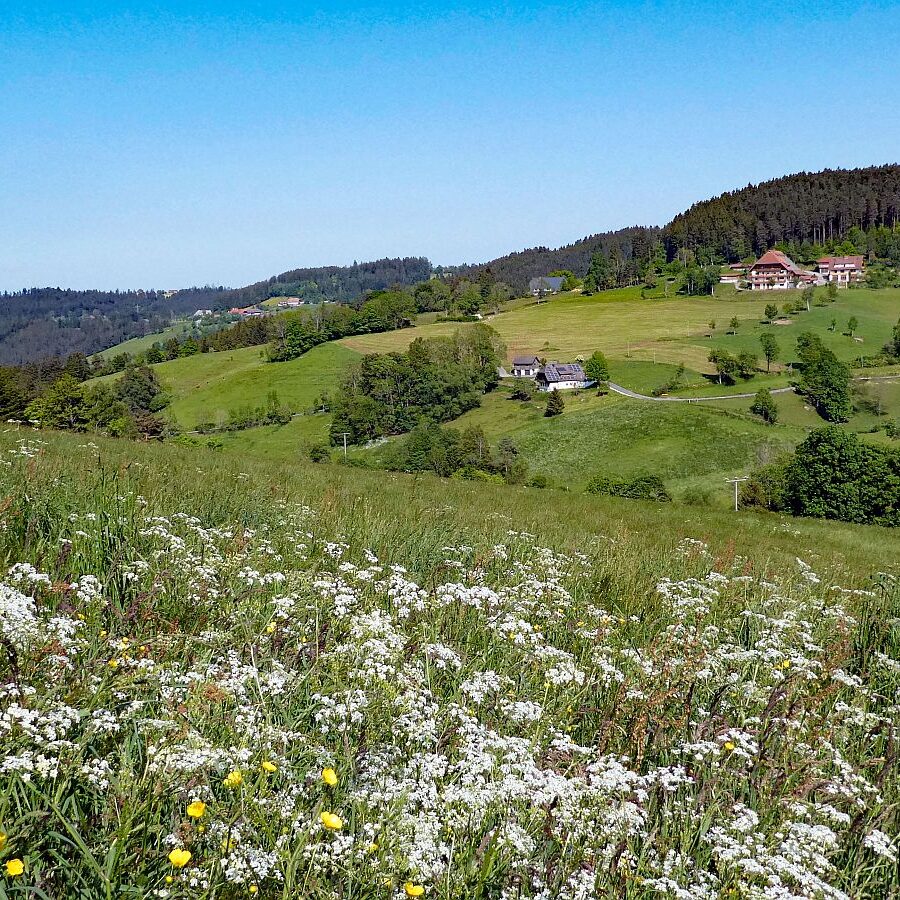 Mittelbergrunde Unterschiltach Tennenbronn 07