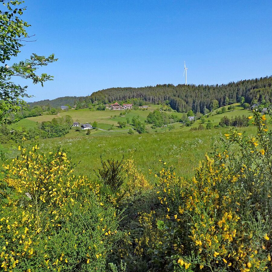 Mittelbergrunde Unterschiltach Tennenbronn 10