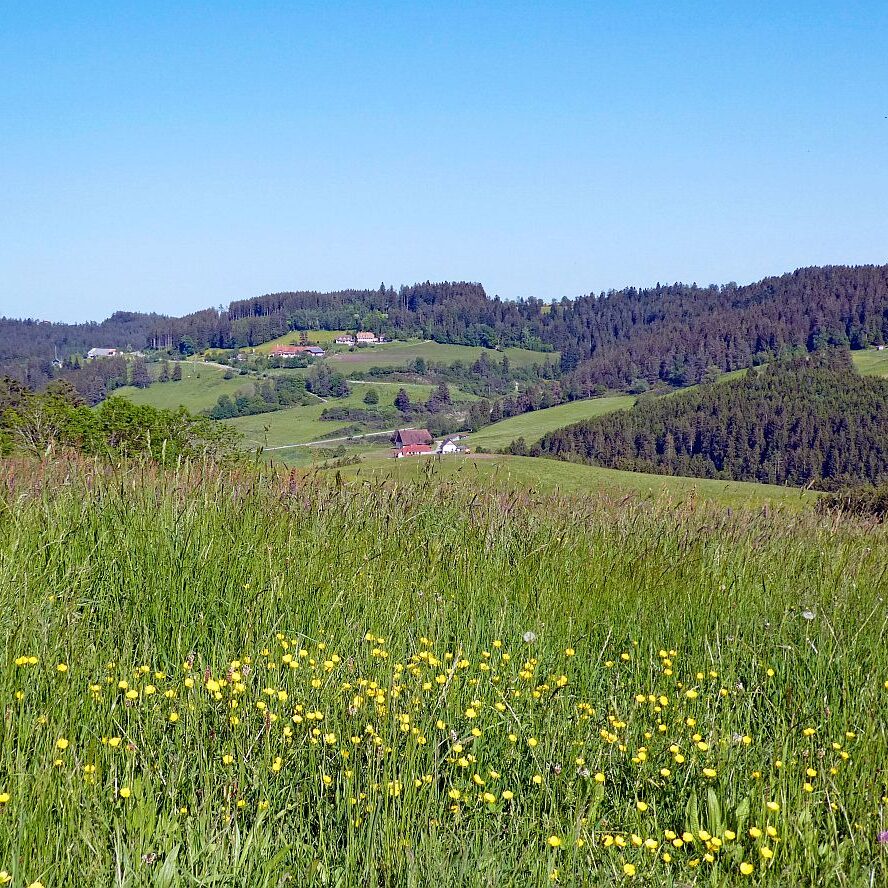Mittelbergrunde Unterschiltach Tennenbronn 16