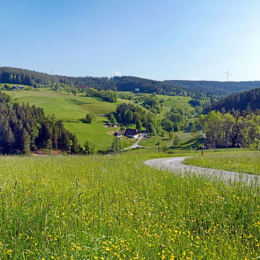 Mittelbergrunde Unterschiltach Tennenbronn 17