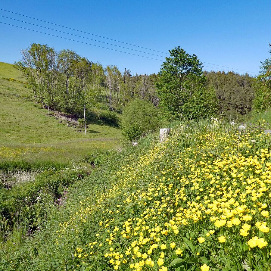 Mittelbergrunde Unterschiltach Tennenbronn 20