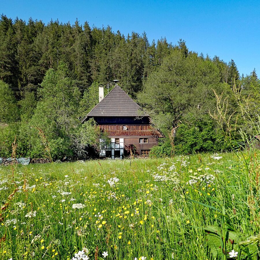 Mittelbergrunde Unterschiltach Tennenbronn 21
