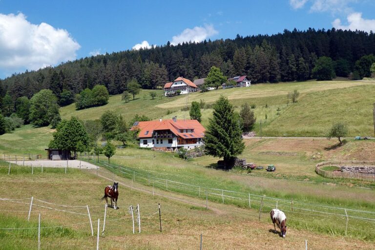 Wanderung durch den Dobel Linde und Gersbach 01