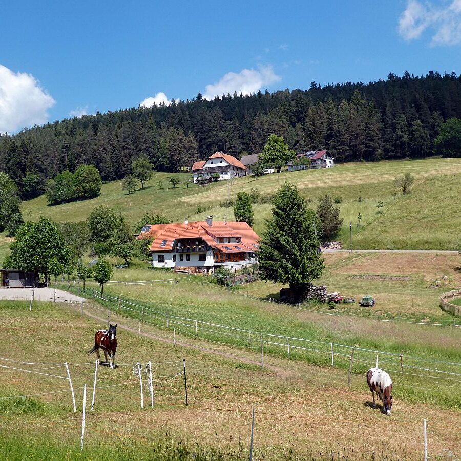 Wanderung durch den Dobel Linde und Gersbach 01