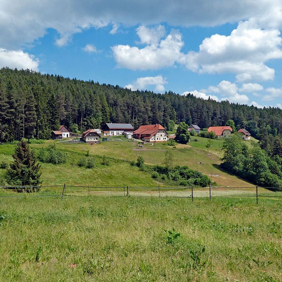 Wanderung durch den Dobel Linde und Gersbach 07
