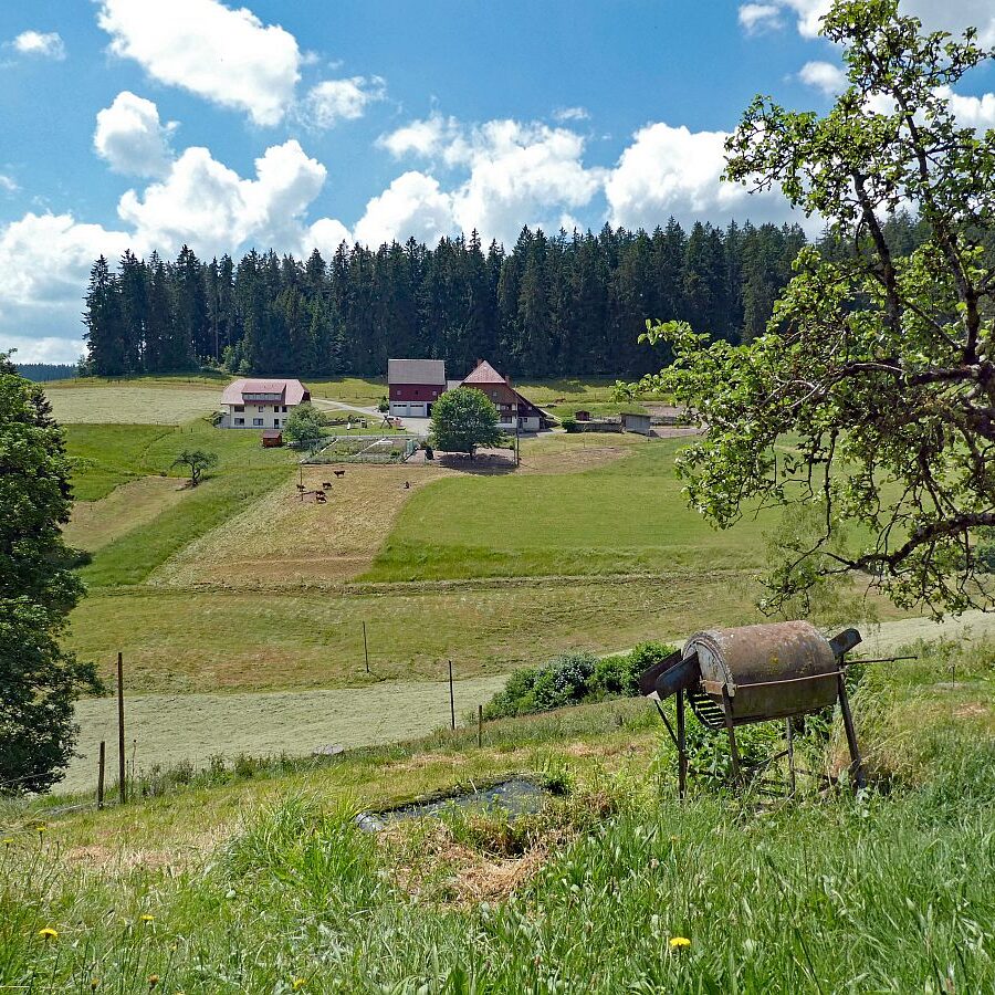 Wanderung durch den Dobel Linde und Gersbach 09