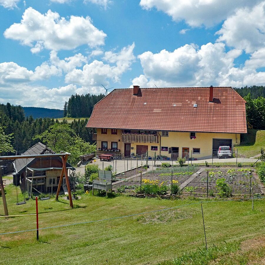 Wanderung durch den Dobel Linde und Gersbach 10