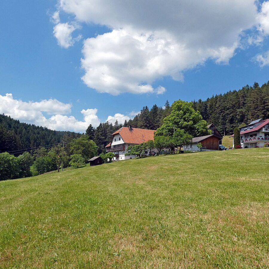 Wanderung durch den Dobel Linde und Gersbach 11
