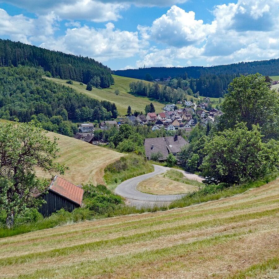 Wanderung durch den Dobel Linde und Gersbach 12