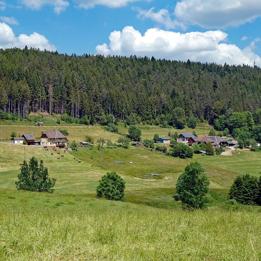 Wanderung durch den Dobel Linde und Gersbach 19
