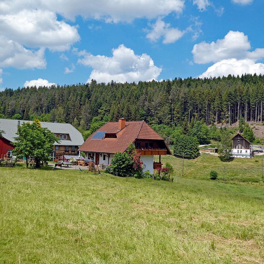 Wanderung durch den Dobel Linde und Gersbach 20