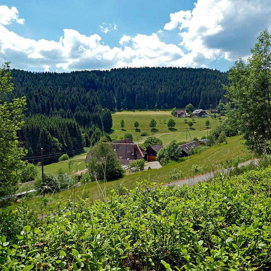 Wanderung durch den Dobel Linde und Gersbach 21
