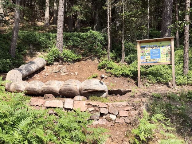 Schmetterlingspfad 01