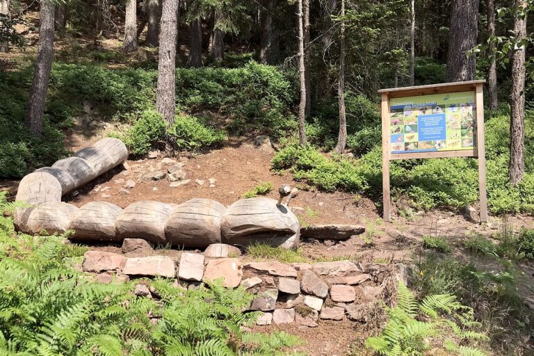 Schmetterlingspfad 01