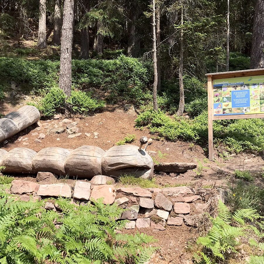 Schmetterlingspfad 01