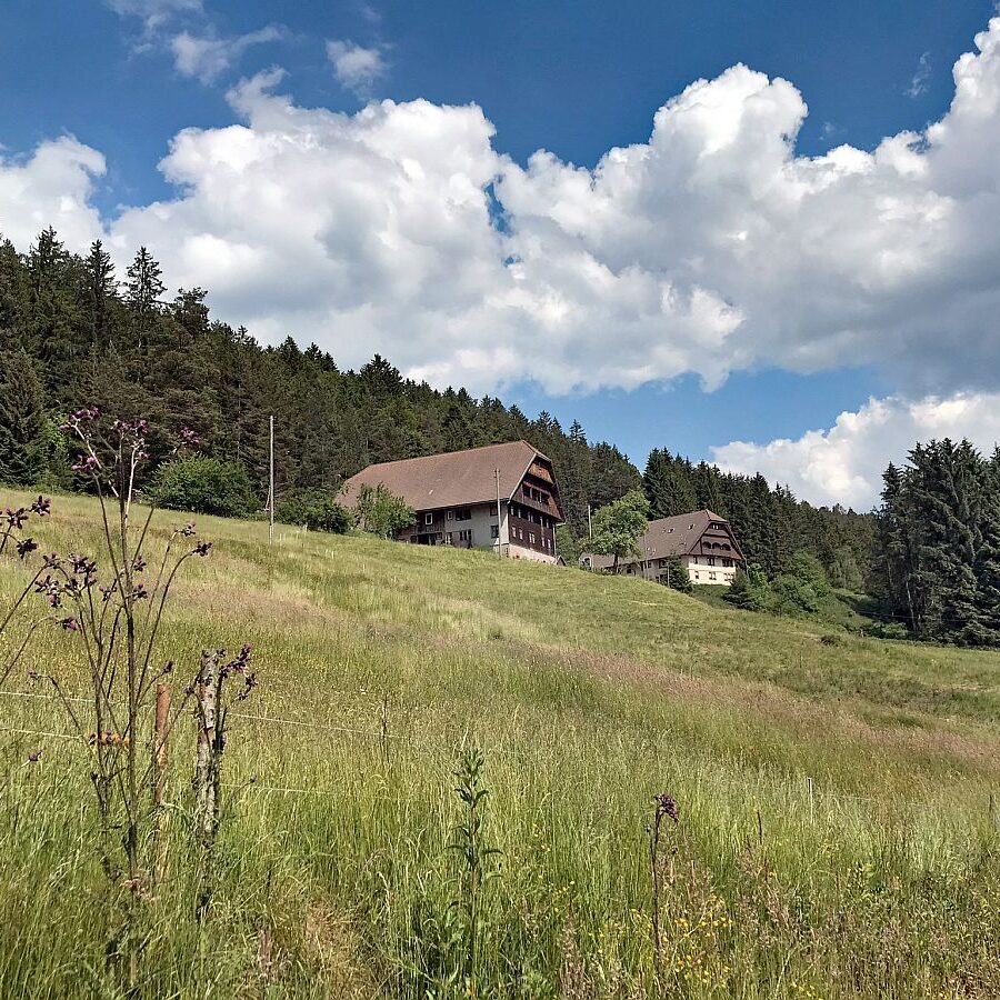 Schmetterlingspfad 02