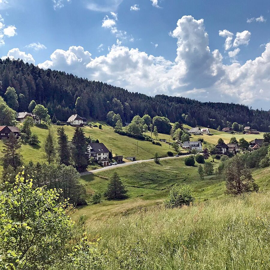 Schmetterlingspfad 03