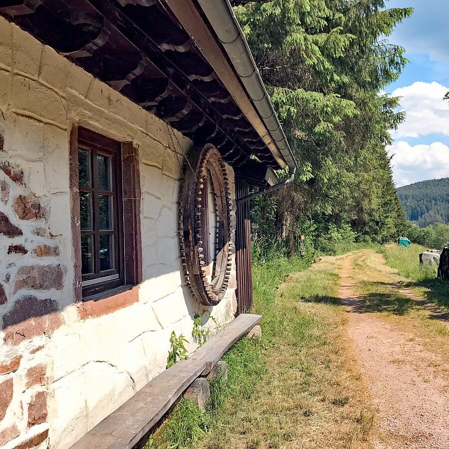 Schmetterlingspfad 04