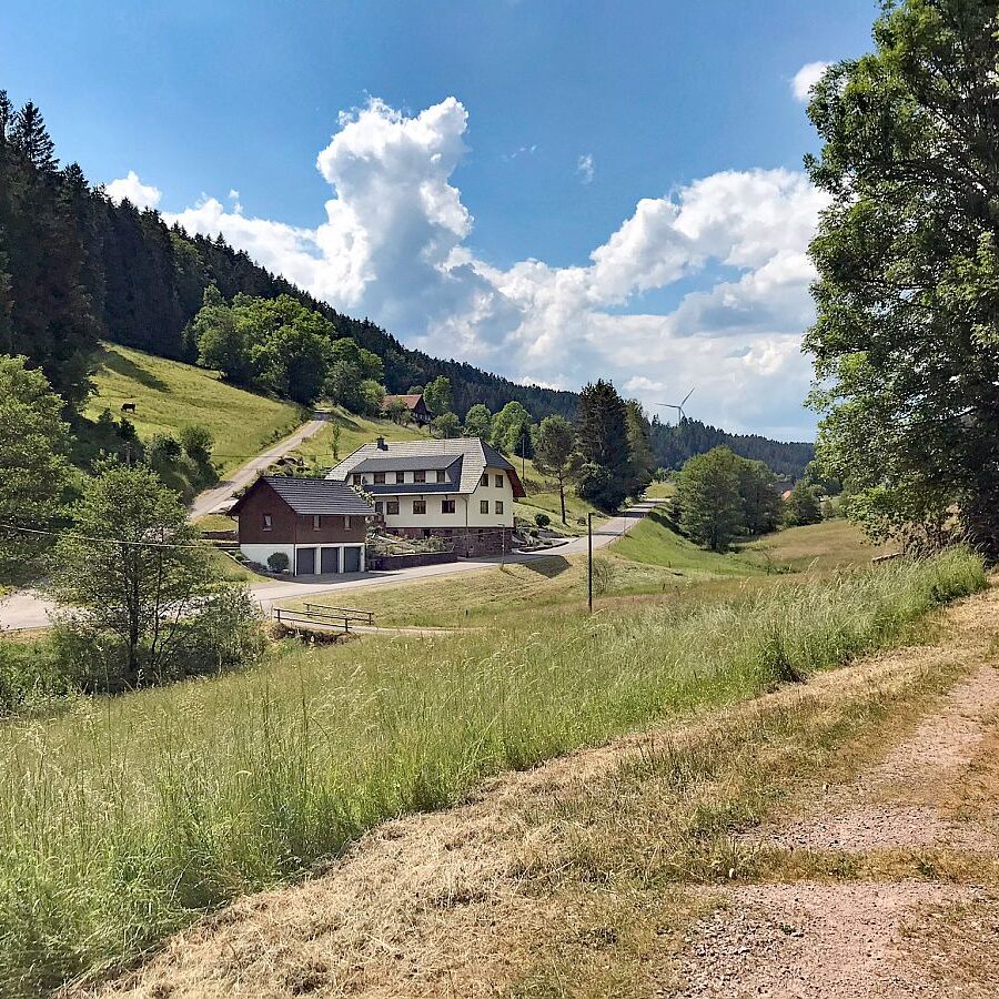 Schmetterlingspfad 05