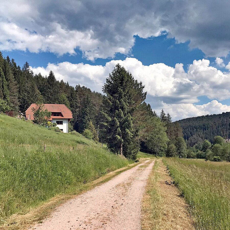 Schmetterlingspfad 06