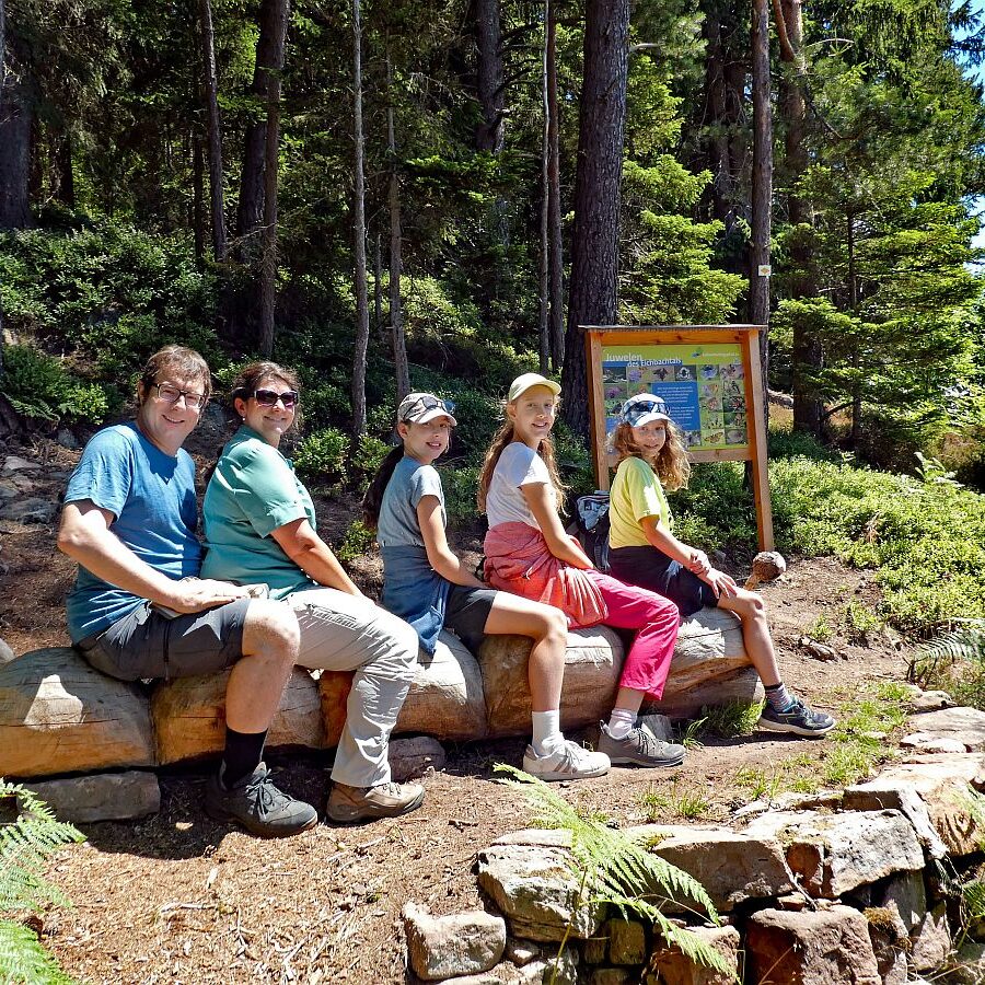 Schmetterlingspfad 10