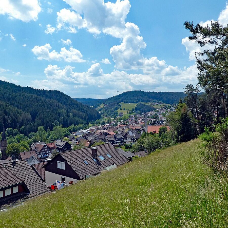 Schmetterlingspfad 11