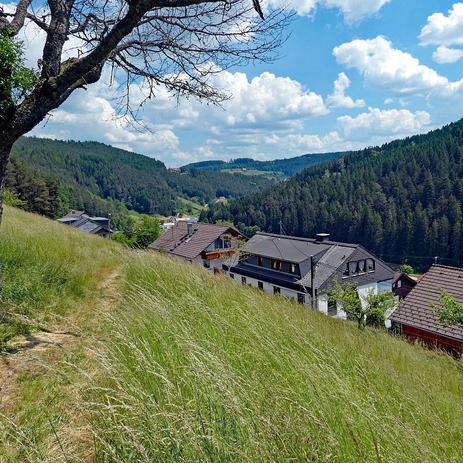 Schmetterlingspfad 12