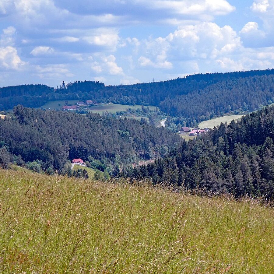 Schmetterlingspfad 13