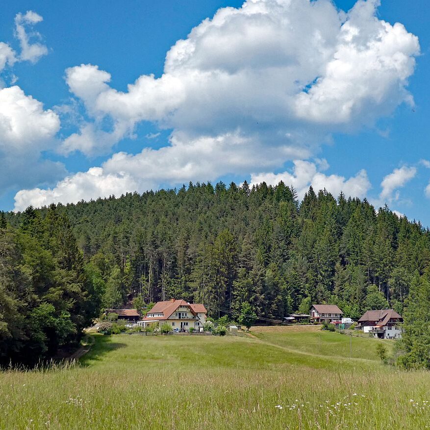 Schmetterlingspfad 15