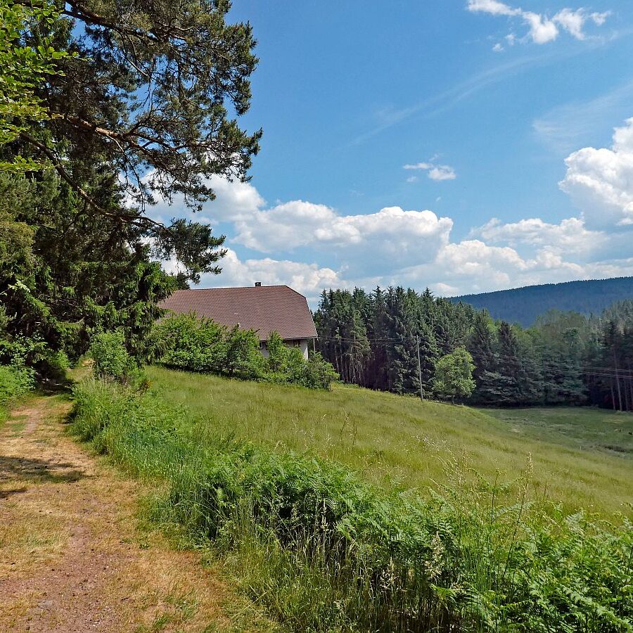 Schmetterlingspfad 18