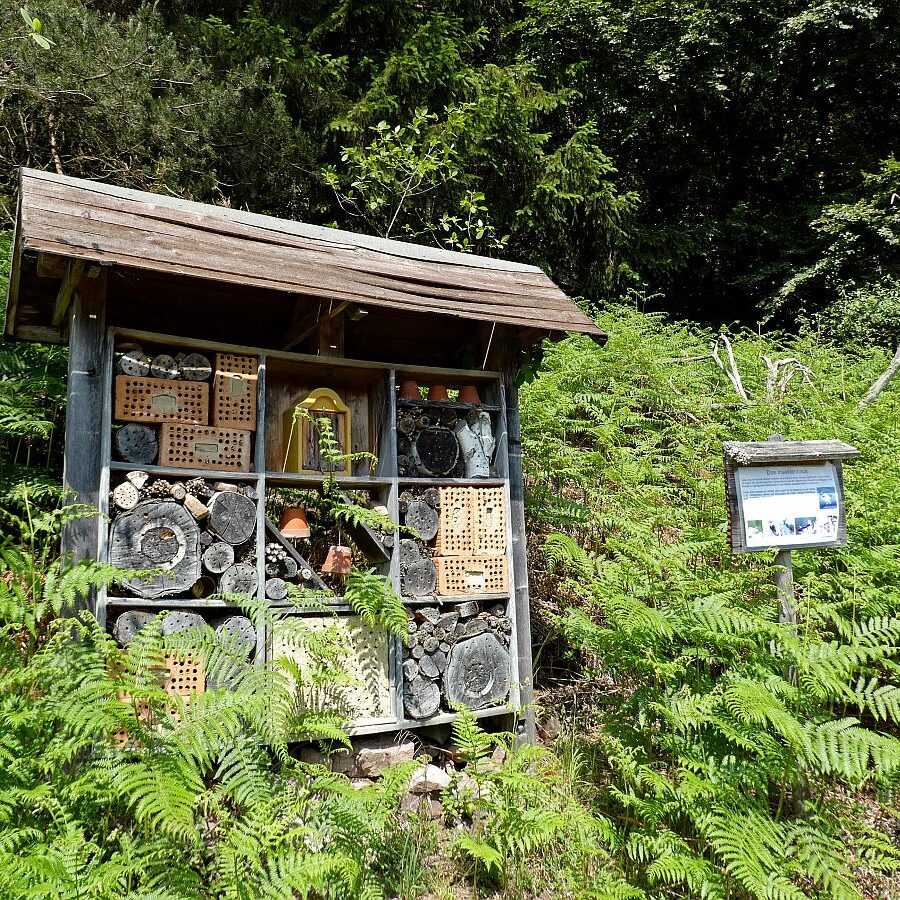 Schmetterlingspfad 19