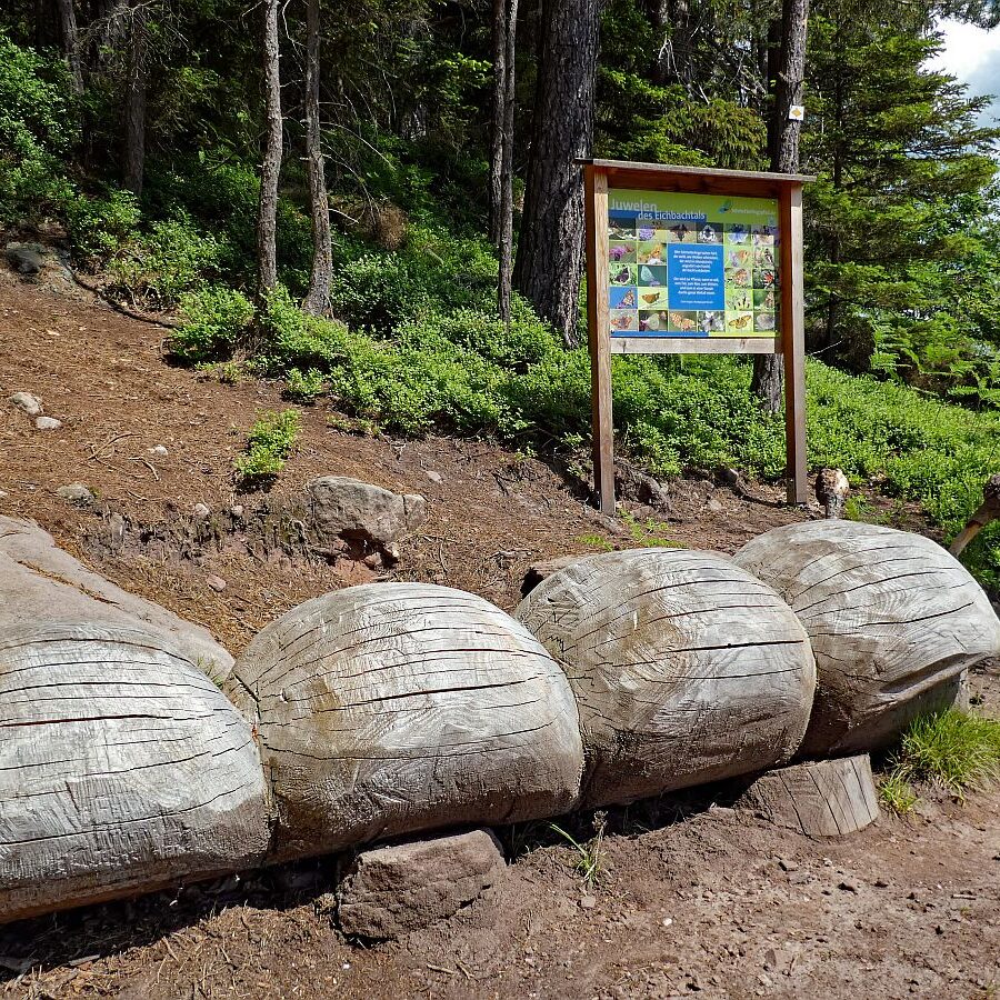 Schmetterlingspfad 20