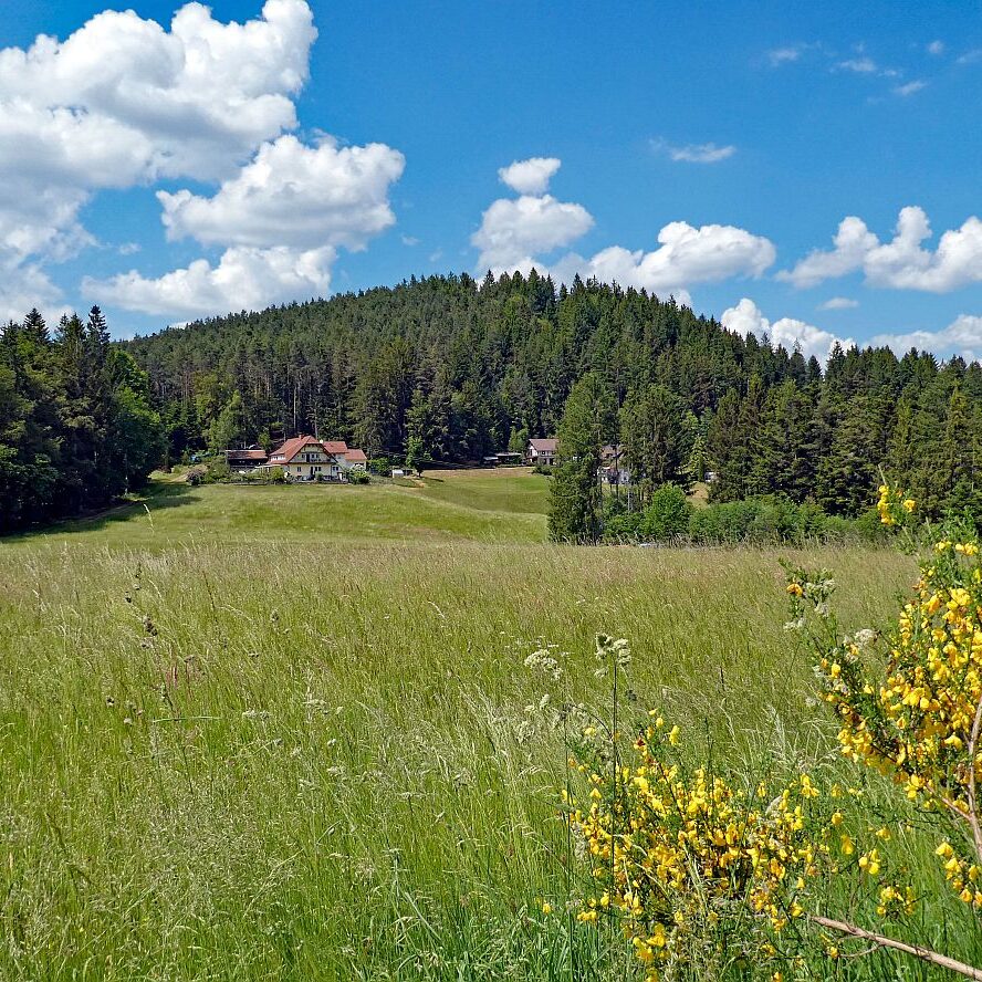 Schmetterlingspfad 21