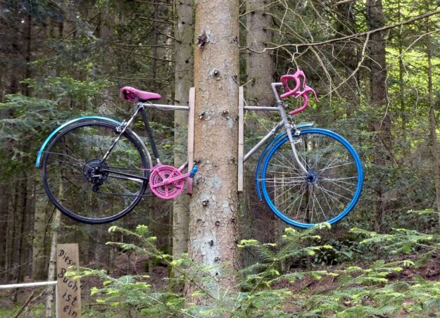 Strausse und Bücher auf dem Trombach 05