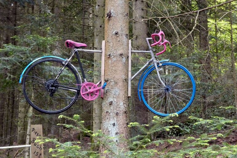 Strausse und Bücher auf dem Trombach 05