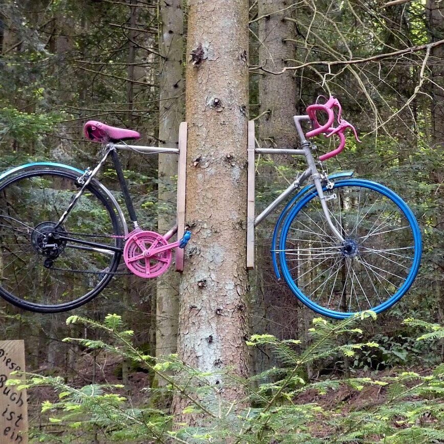 Strausse und Bücher auf dem Trombach 05