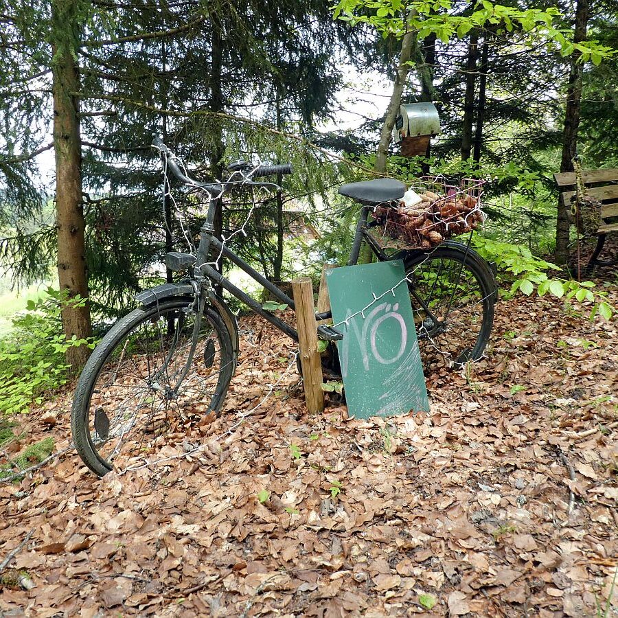 Strausse und Bücher auf dem Trombach 06