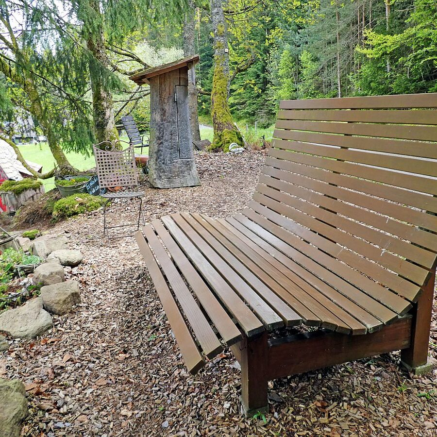 Strausse und Bücher auf dem Trombach 07