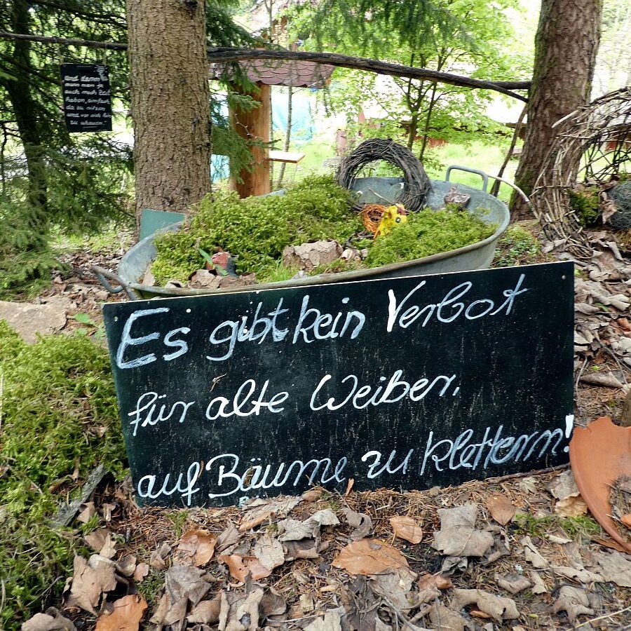 Strausse und Bücher auf dem Trombach 08