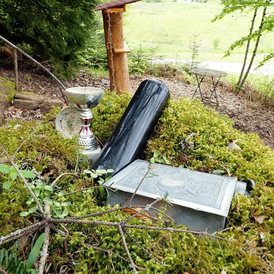 Strausse und Bücher auf dem Trombach 10