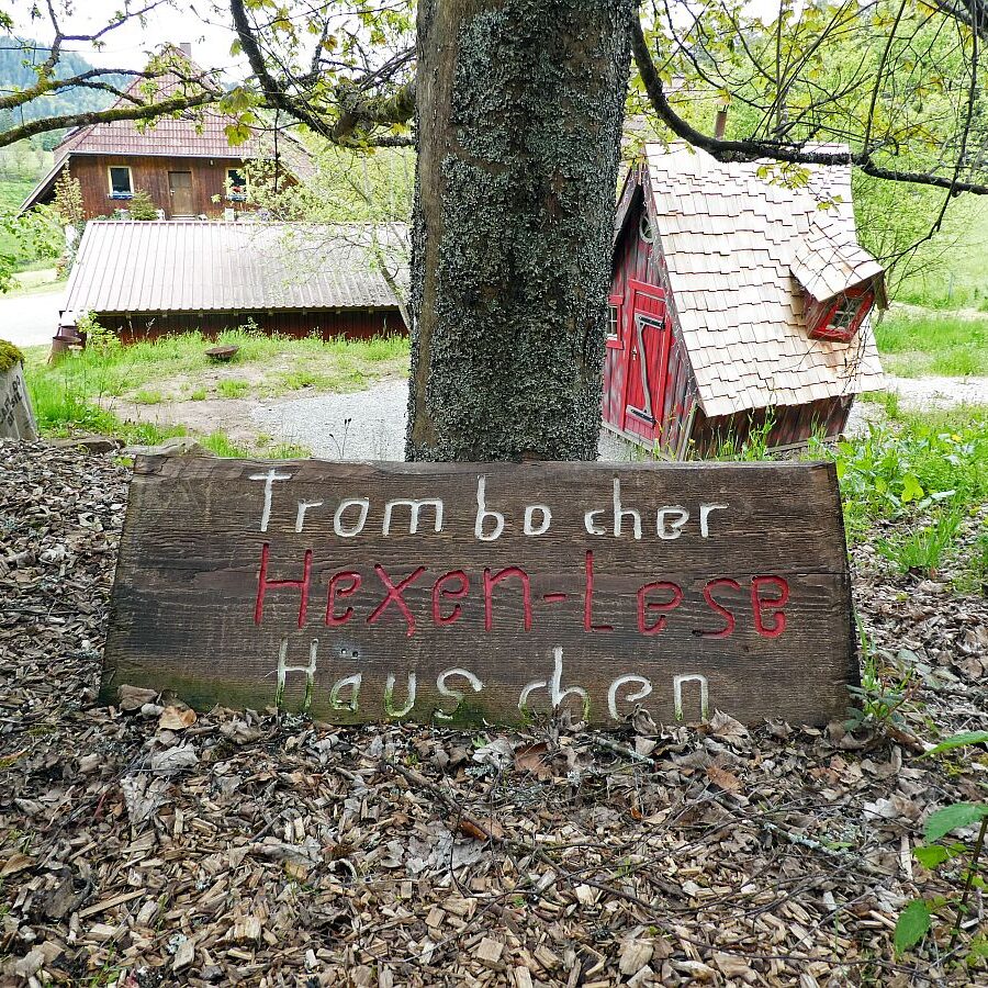 Strausse und Bücher auf dem Trombach 11