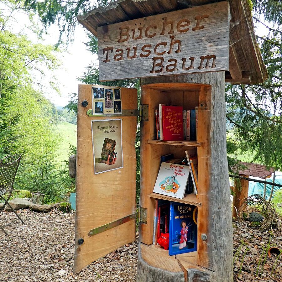 Strausse und Bücher auf dem Trombach 12
