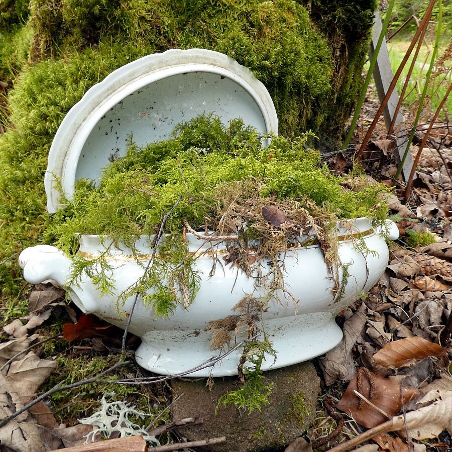 Strausse und Bücher auf dem Trombach 14