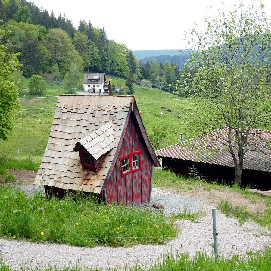 Strausse und Bücher auf dem Trombach 15