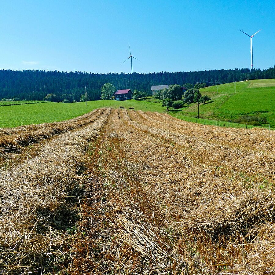 Hub Langenberg Mulp Altenburg 01
