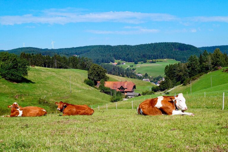 Hub Langenberg Mulp Altenburg 02